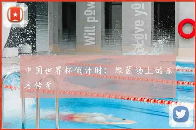 中国世界杯倒计时:绿茵场上的东方传奇