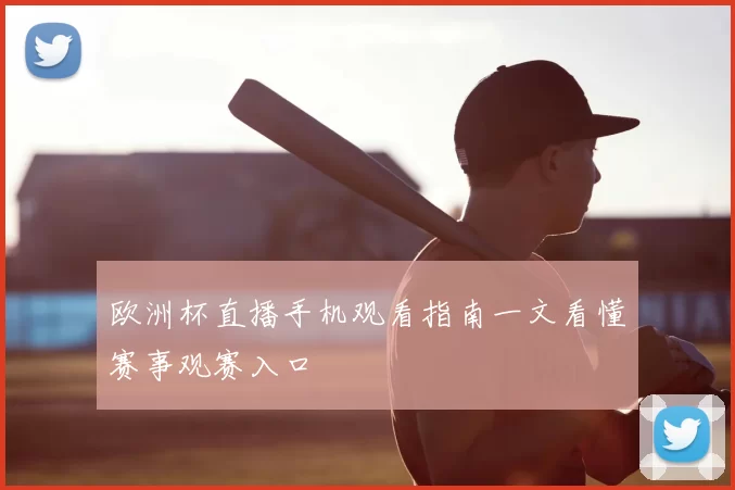 欧洲杯直播手机观看指南一文看懂赛事观赛入口