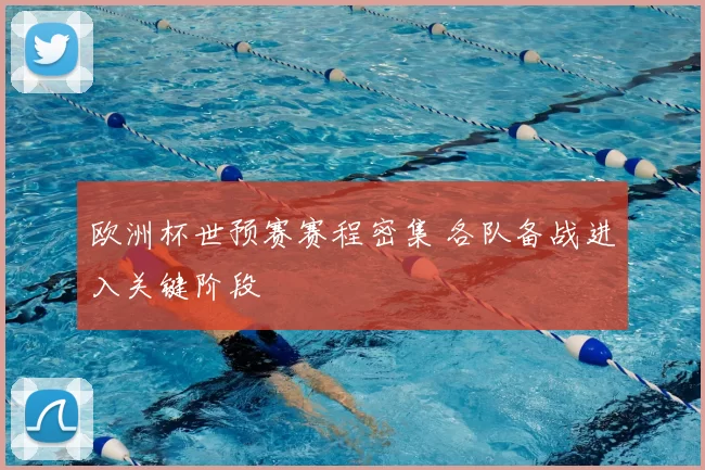 欧洲杯世预赛赛程密集 各队备战进入关键阶段