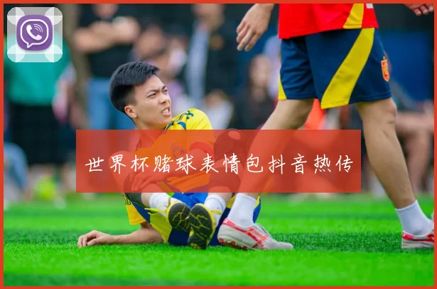 世界杯赌球表情包抖音热传