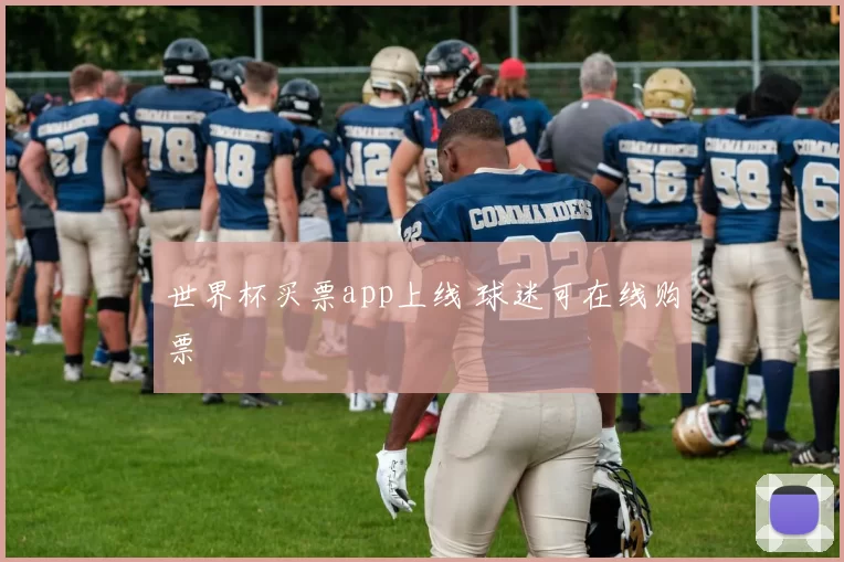 世界杯买票app上线 球迷可在线购票