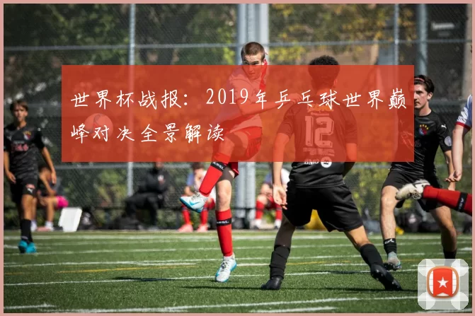世界杯战报:2019年乒乓球世界巅峰对决全景解读