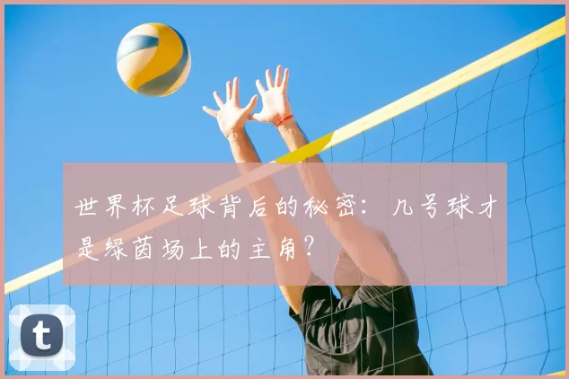 世界杯足球背后的秘密：几号球才是绿茵场上的主角？
