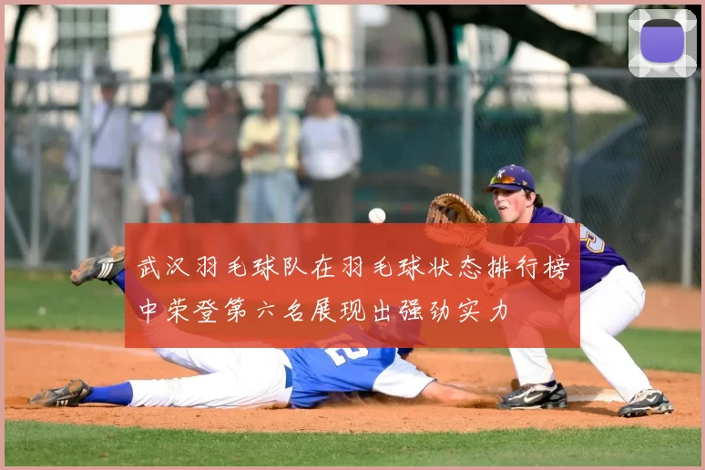 武汉羽毛球队在羽毛球状态排行榜中荣登第六名展现出强劲实力
