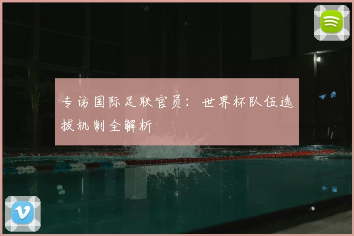 专访国际足联官员：世界杯队伍选拔机制全解析