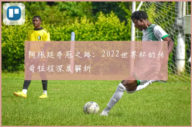 阿根廷夺冠之路：2022世界杯的传奇征程深度解析