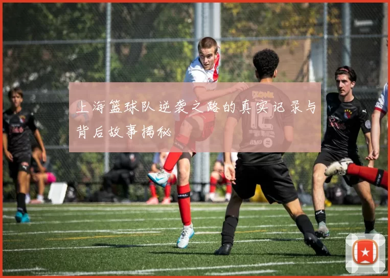 上海篮球队逆袭之路的真实记录与背后故事揭秘