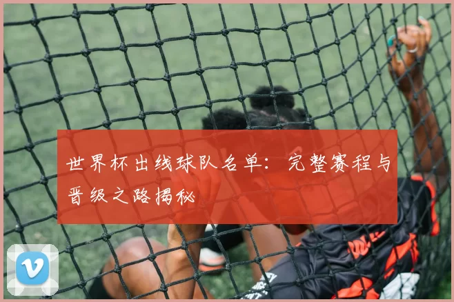 世界杯出线球队名单：完整赛程与晋级之路揭秘