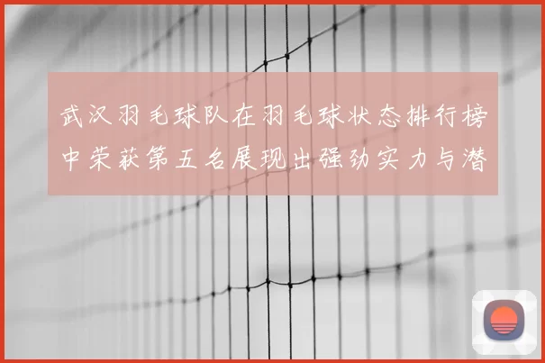 武汉羽毛球队在羽毛球状态排行榜中荣获第五名展现出强劲实力与潜力