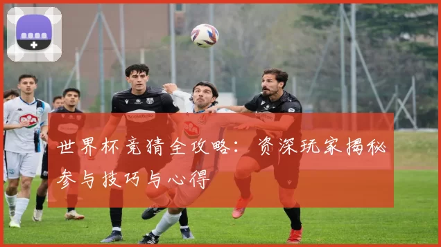 世界杯竞猜全攻略：资深玩家揭秘参与技巧与心得