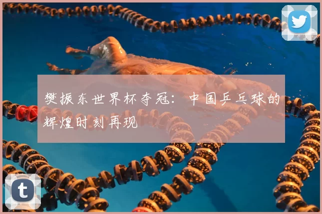 樊振东世界杯夺冠：中国乒乓球的辉煌时刻再现