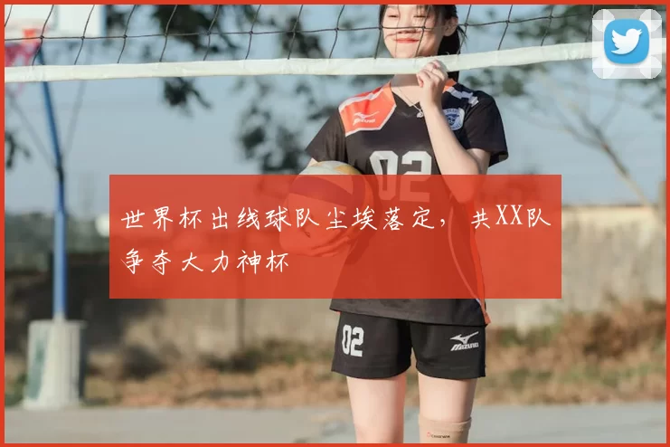 世界杯出线球队尘埃落定，共XX队争夺大力神杯